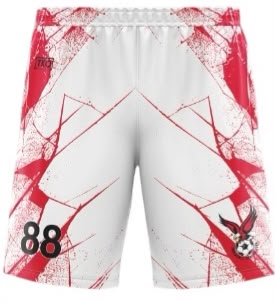 Ingersoll Flyers Elite Shorts | Shatter