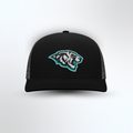 Wildcats Hat | Snapback