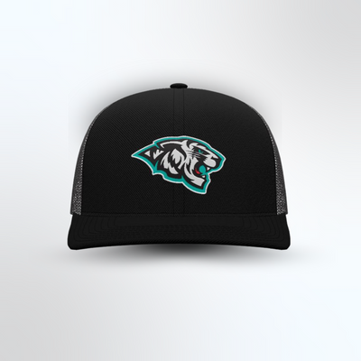 Wildcats Hat | Snapback