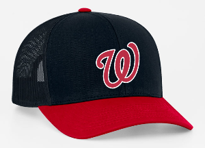 Snapback Hat