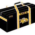 Coach Bag | Includes all customization
