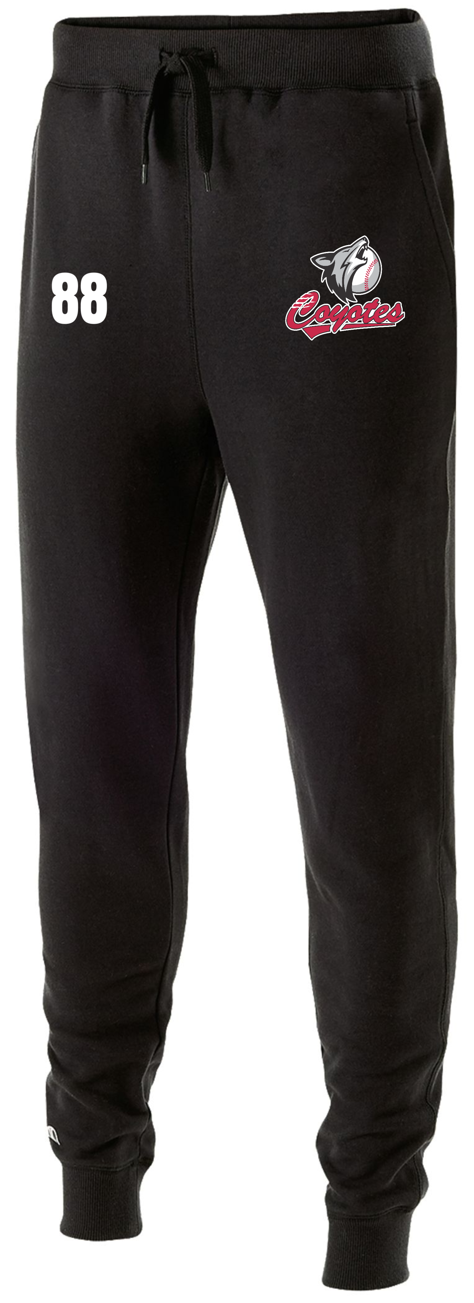 Fleece Jogger | Mens