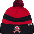Knit Fold Over Pom-Pom Beanie