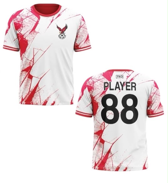 Ingersoll Flyers Elite T-Shirt | Shatter